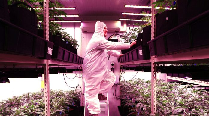 The U.S. could need the equivalent of 40 new nuclear plants over the next 5 years, by one estimate—and appetite for power hogs crypto and cannabis are to blame the-us.-could-need-the-equivalent-of-40-new-nuclear-plants-over-the-next-5-years,-by-one-estimate—and-appetite-for-power-hogs-crypto-and-cannabis-are-to-blame