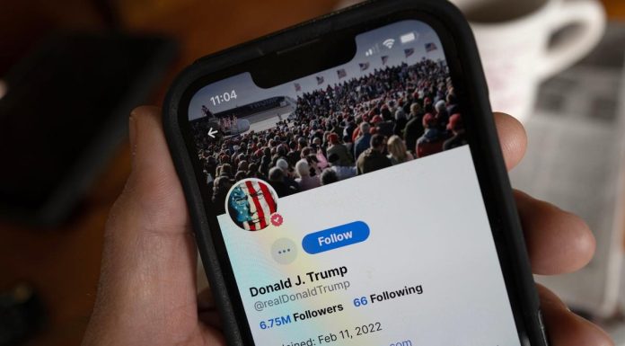 DJT stock hits turbulence: More volatility ahead for Trump’s high-flying Truth Social djt-stock-hits-turbulence:-more-volatility-ahead-for-trump’s-high-flying-truth-social