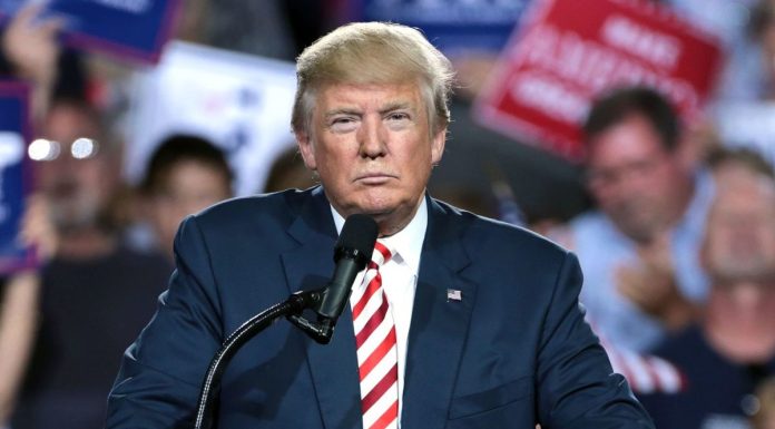 Donald Trump Pushes For USA to Lead in Bitcoin donald-trump-pushes-for-usa-to-lead-in-bitcoin
