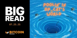 Pooling in OP-CAT’s World pooling-in-op-cat’s-world